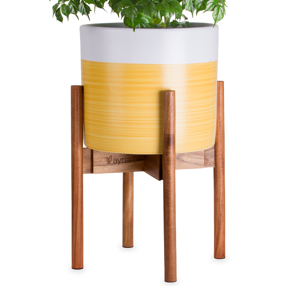 Mid-Century Modern Adjustable Wooden Plant Stand
