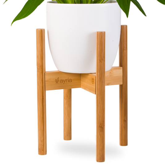 Bamboo Plant Stand - Adjustable Width (Up to 30cm)