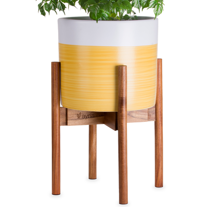 Mid-Century Modern Adjustable Wooden Plant Stand