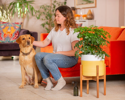 Mid-Century Modern Adjustable Wooden Plant Stand