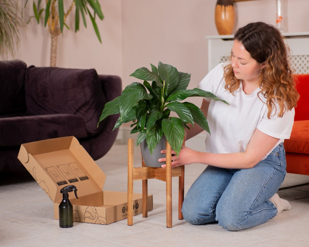 Mid-Century Modern Adjustable Wooden Plant Stand